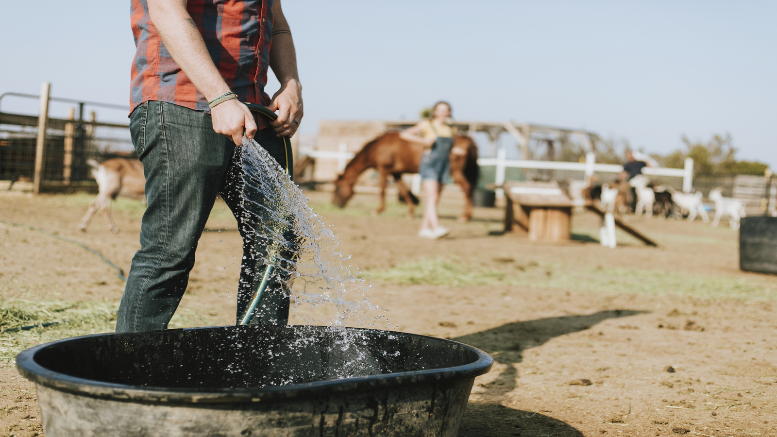 fazendeiro utilizando agua que foi retirada de poço com Bomba Sapo
