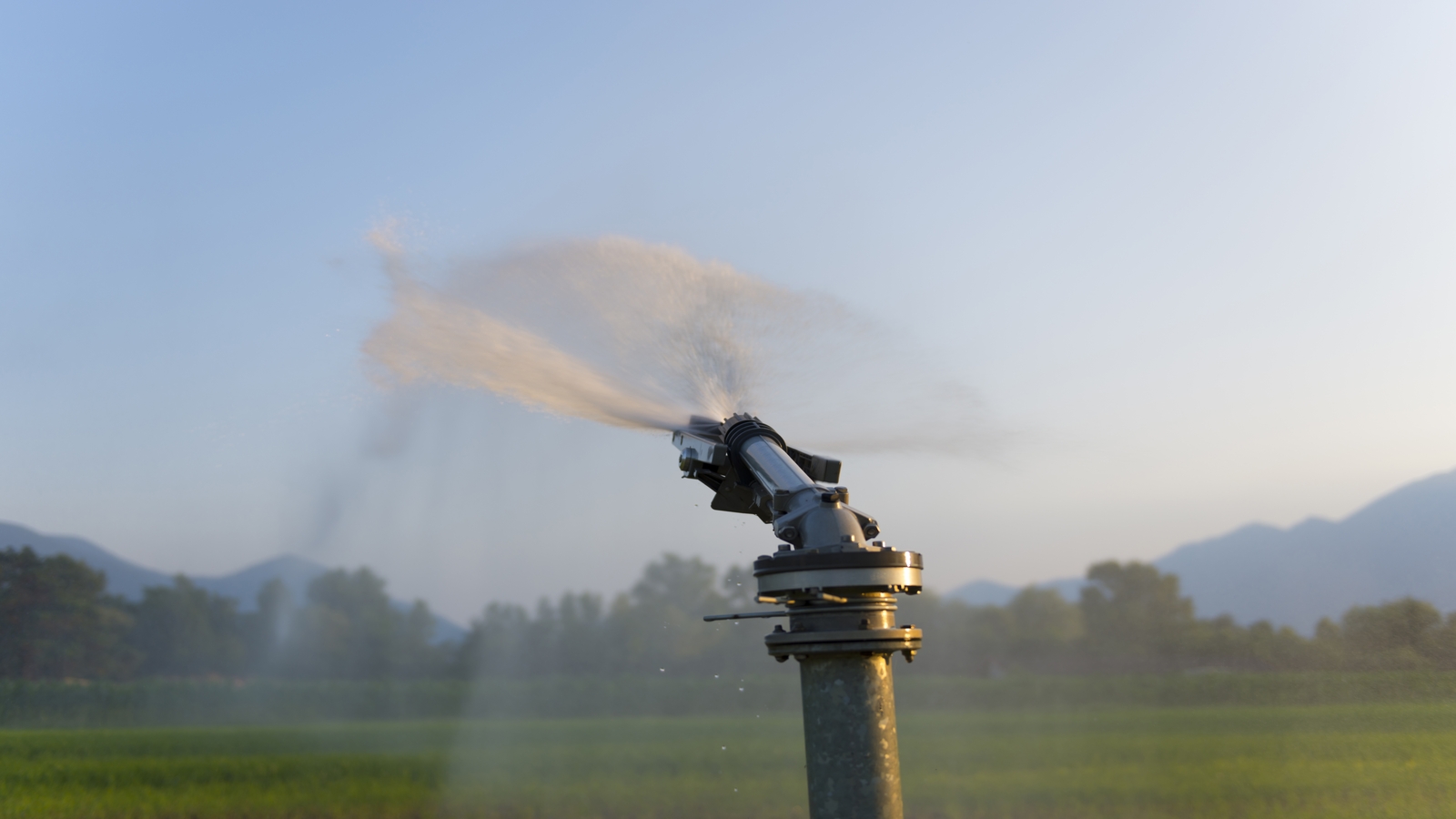 Bomba para Poço Artesiano Submersa trabalhando para irrigar uma grande plantação