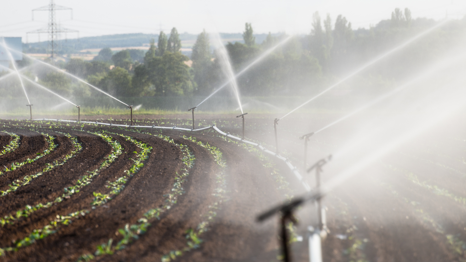 Bomba para Irrigação sendo utilizada para irrigar pequena horta