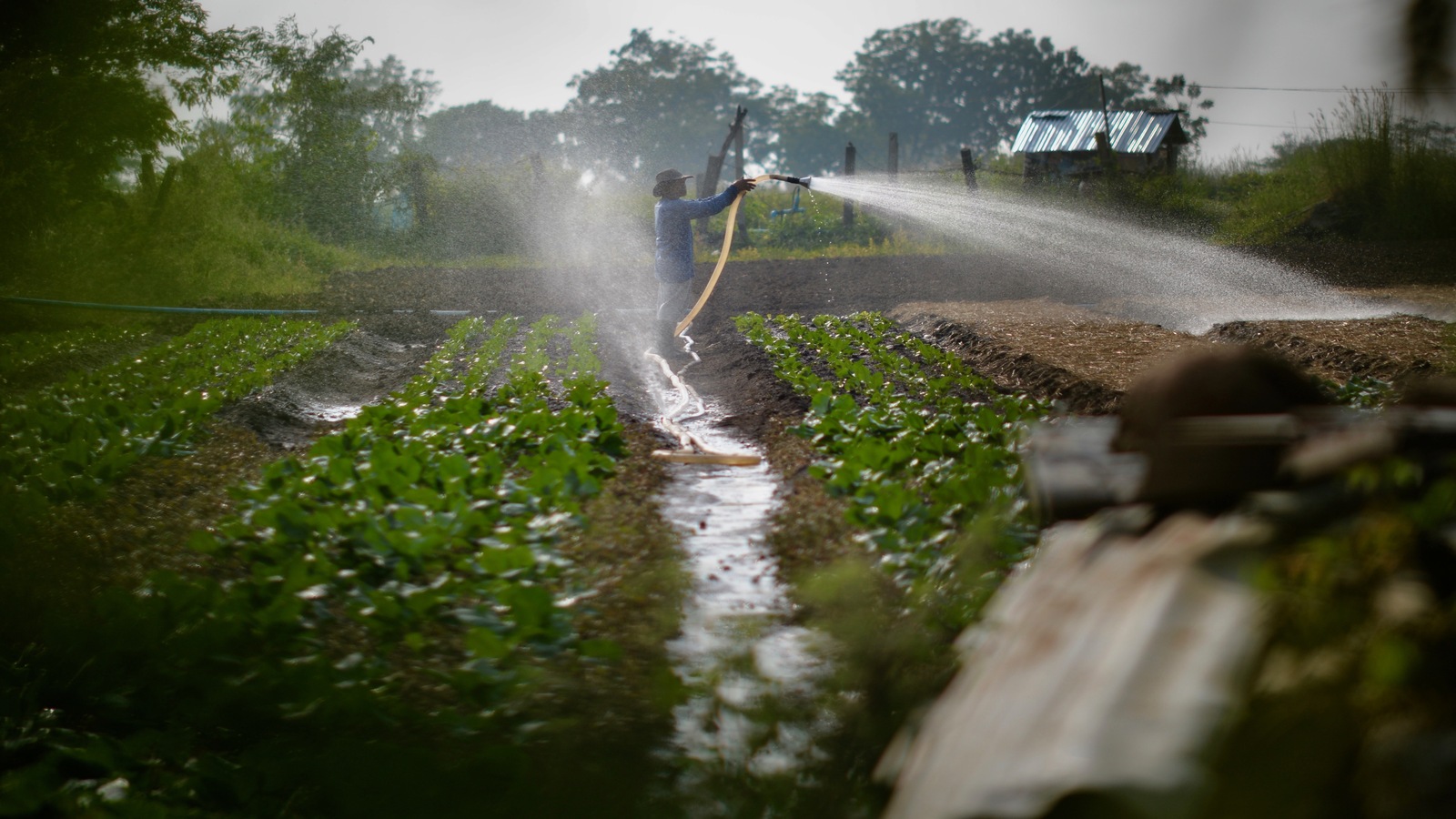 Bombas d’Água sendo usada para irrigação